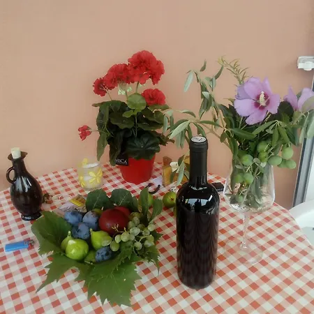 With One Bedroom , Mendula Apartament Pakoštane